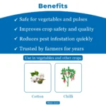 Emacto  insecticide 500gm - Image 3