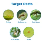 Emacto  insecticide 500gm - Image 2